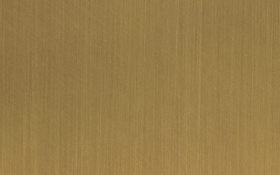 310 Antique Brushed Brass